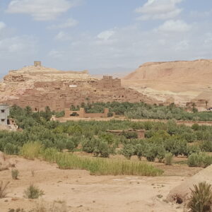 Kasbah Ait Ben Hadou Day Trip - From Marrakech