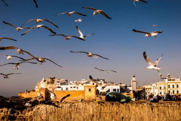 Essaouira Day Trip from Marrakech