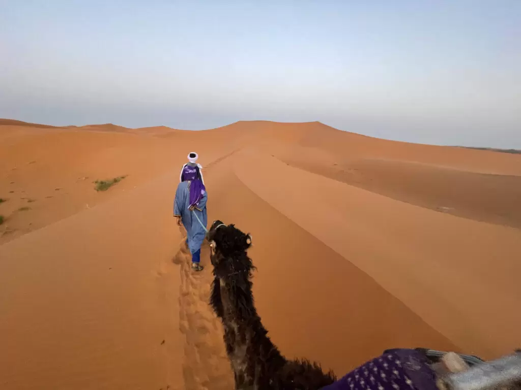 Sahara Desert