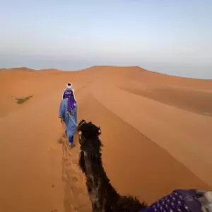 Sahara Desert