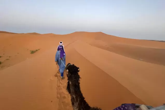 Sahara Desert