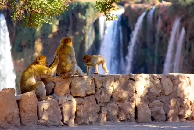 Ouzoud Waterfalls