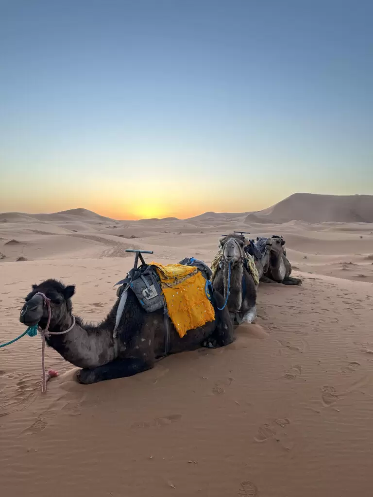 Morocco Sahara Desert