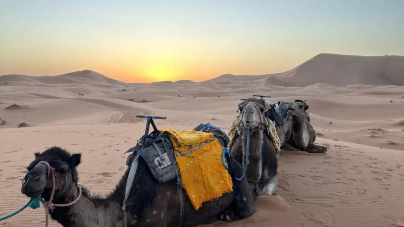 Morocco Sahara Desert