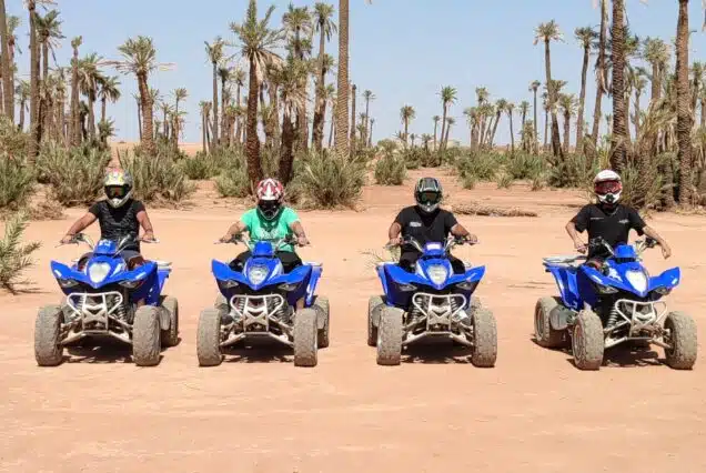 Marrakech Palmeraie Quad Bike Desert Adventure