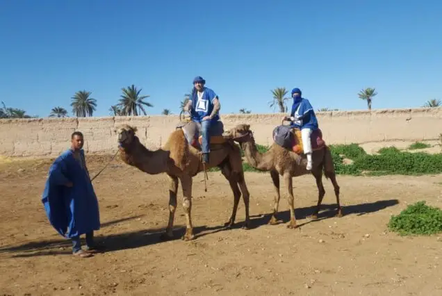 Camel Ride