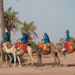 Marrakech Palmeraie Camel Ride