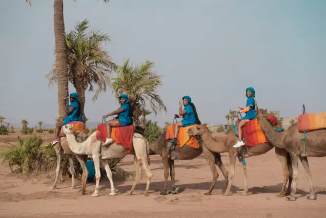 Marrakech Palmeraie Camel Ride