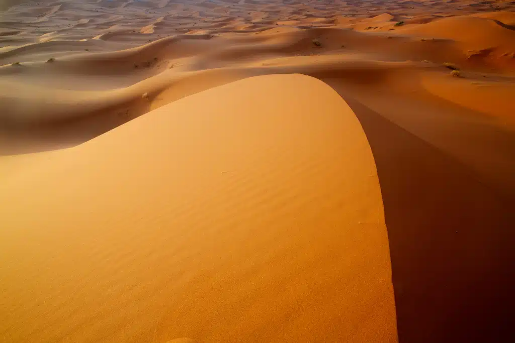 Marrakech Desert Tours